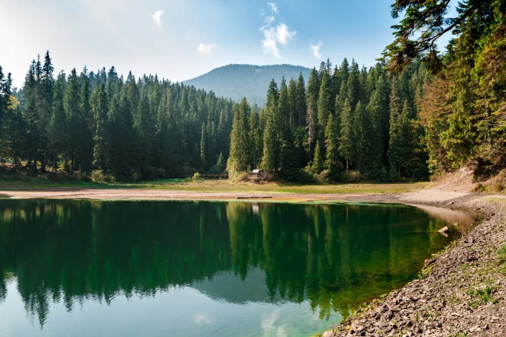 Prawo pracy - Co mówi o urlopie